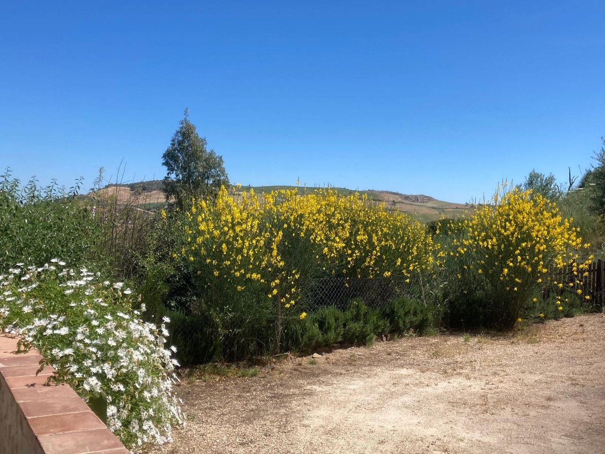 2 Bed Detached Villa in Villanueva De La Concepcion