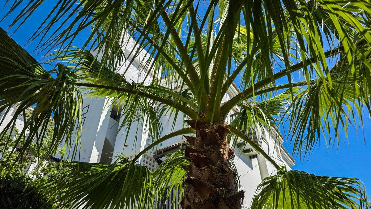 2 Bed Penthouse in San Luis de Sabinillas