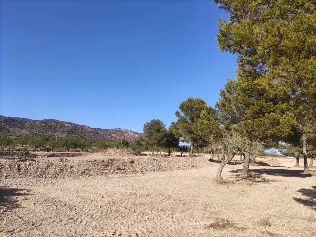 Land in Pinoso