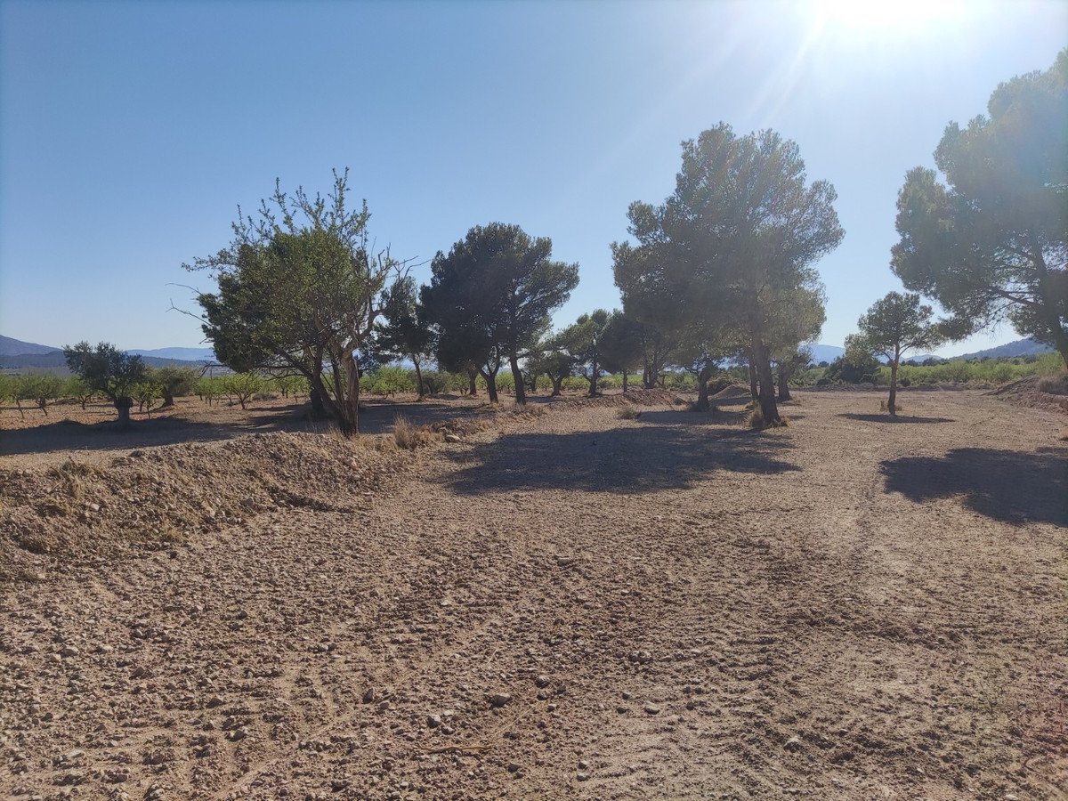 Land in Pinoso