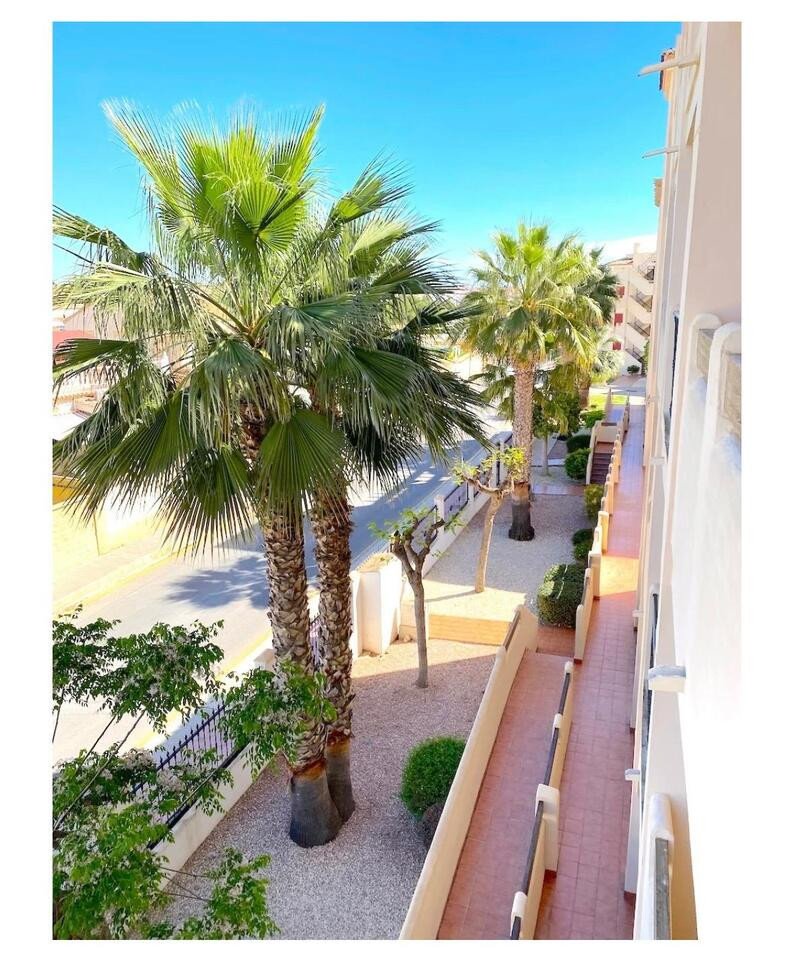 2 Bed Ground Floor Apartment in Orihuela Costa