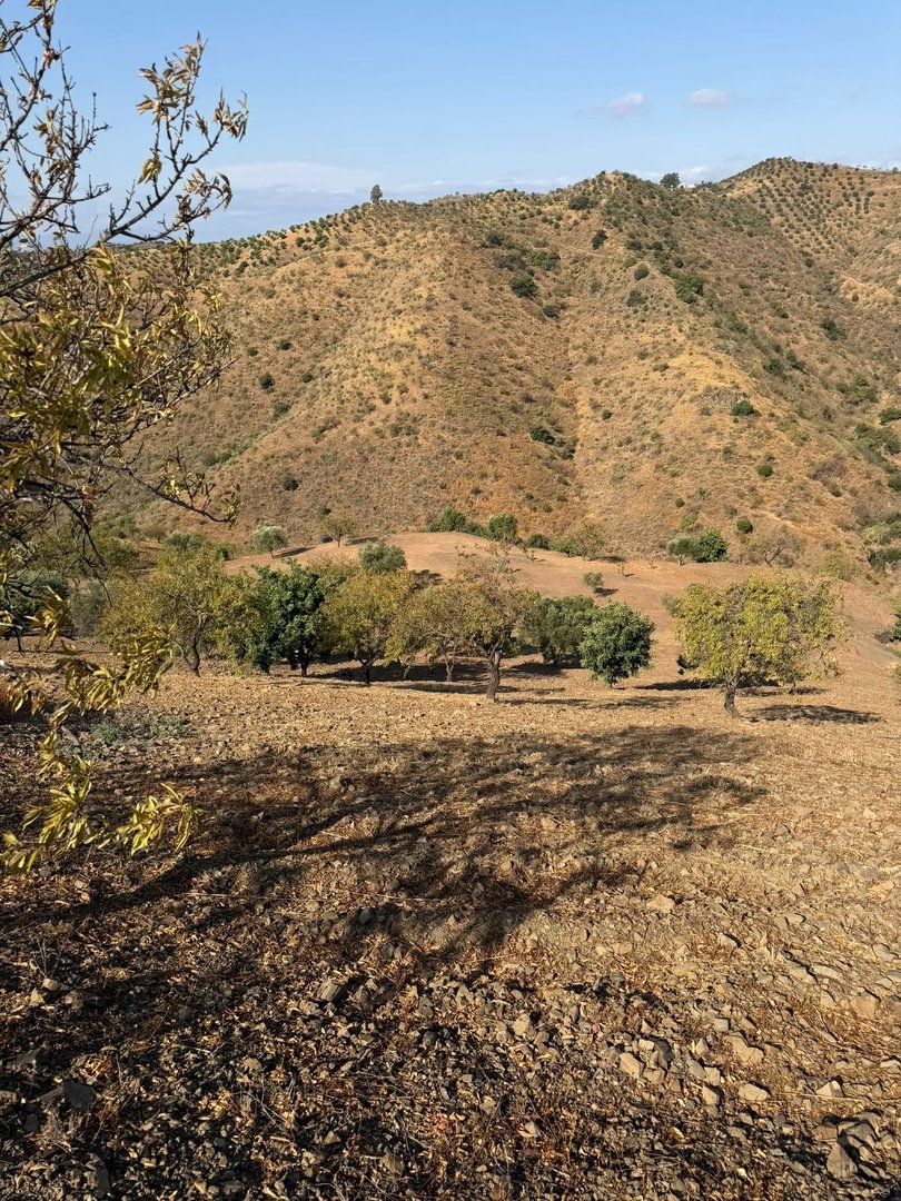 Land in Cártama