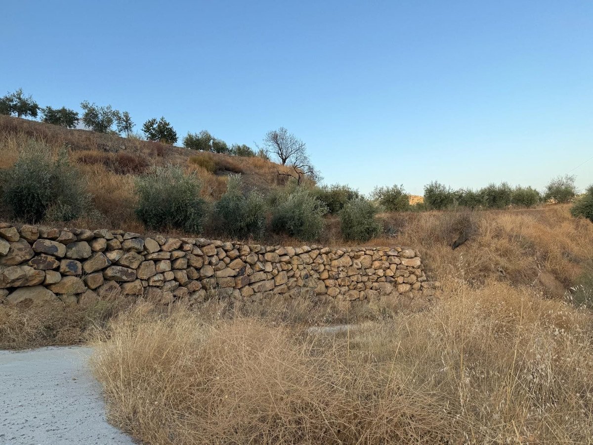 Land in Monda