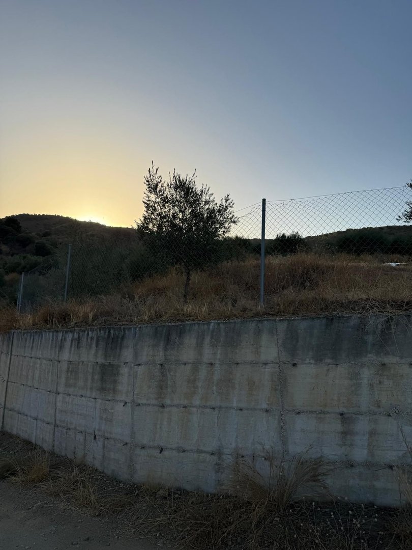 Land in Monda