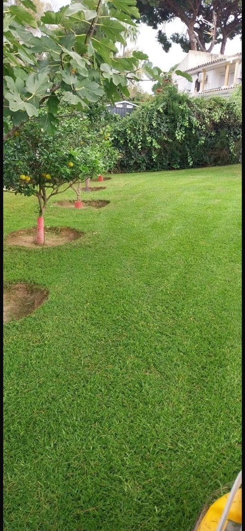 3 Bed Townhouse in Elviria