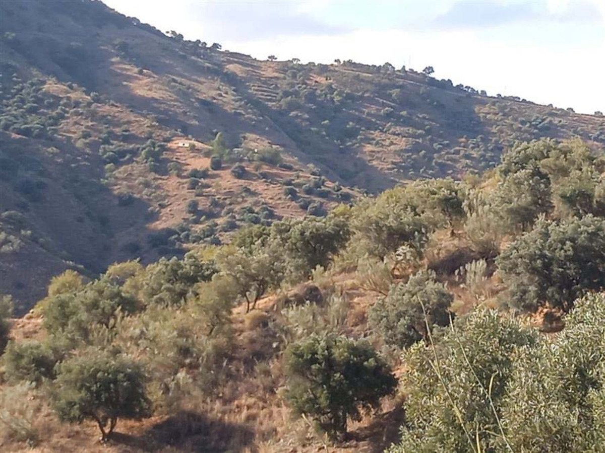 Land in Málaga