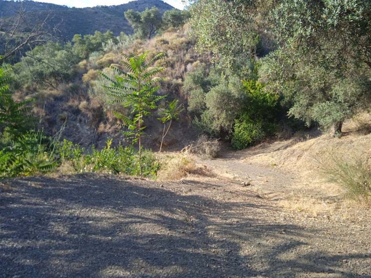 Land in Málaga