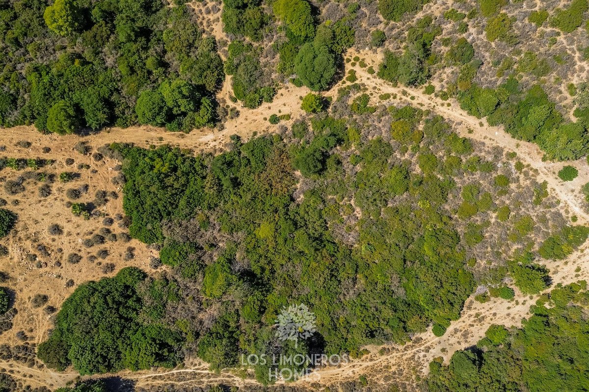 Land in Casares