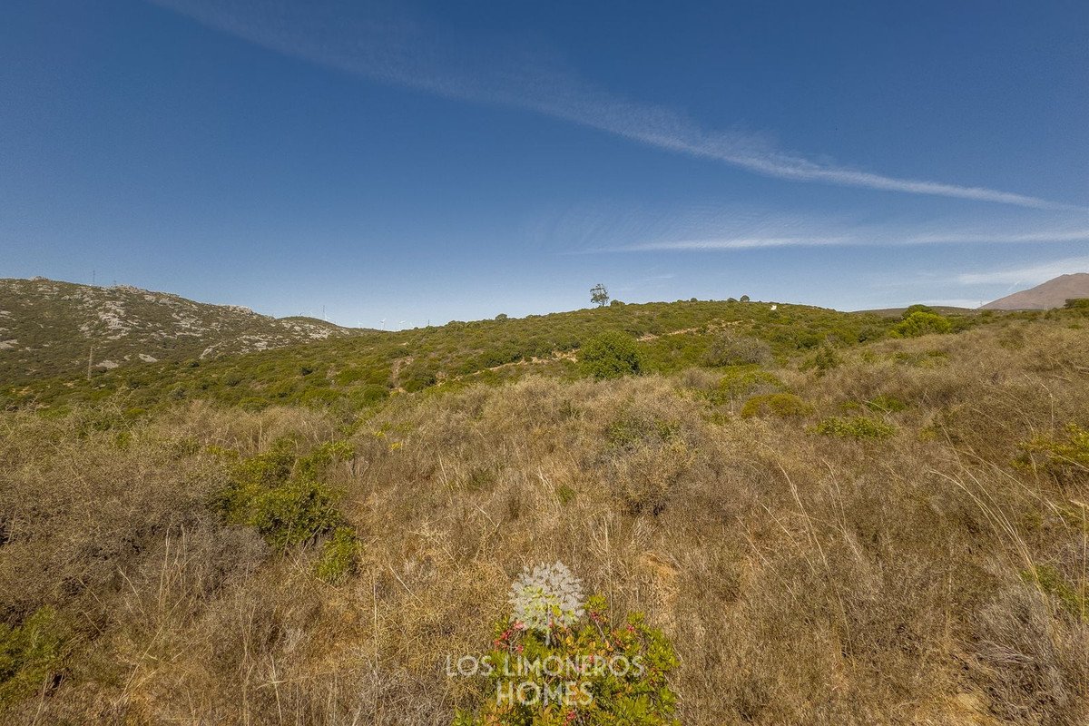 Land in Casares