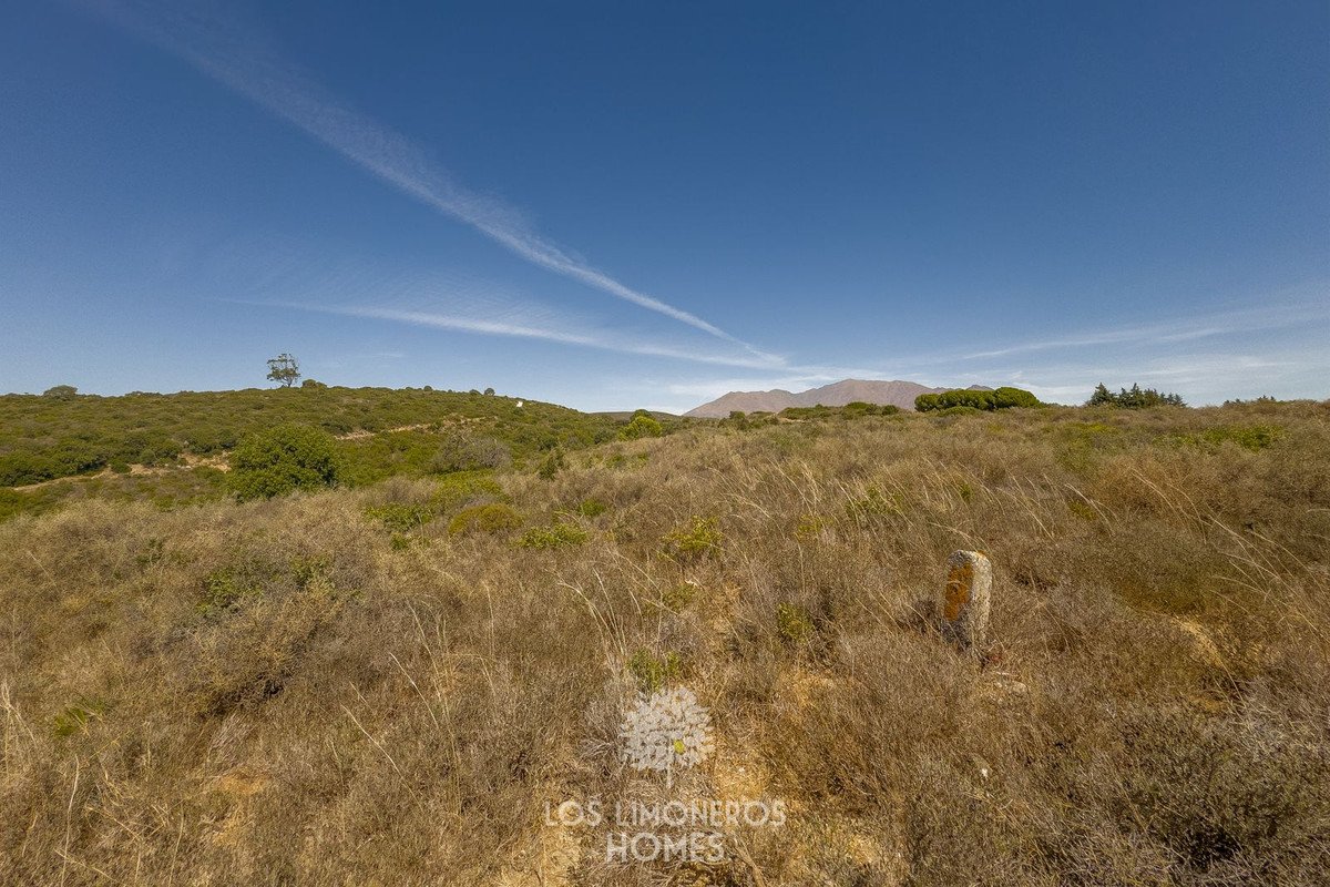 Land in Casares