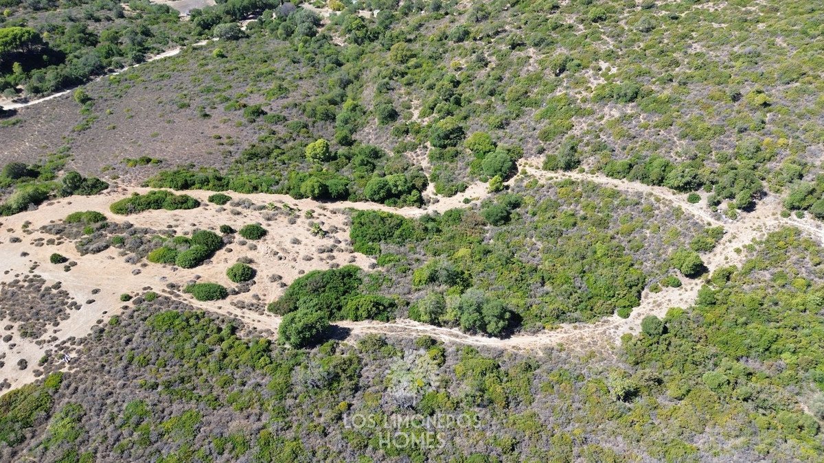 Land in Casares