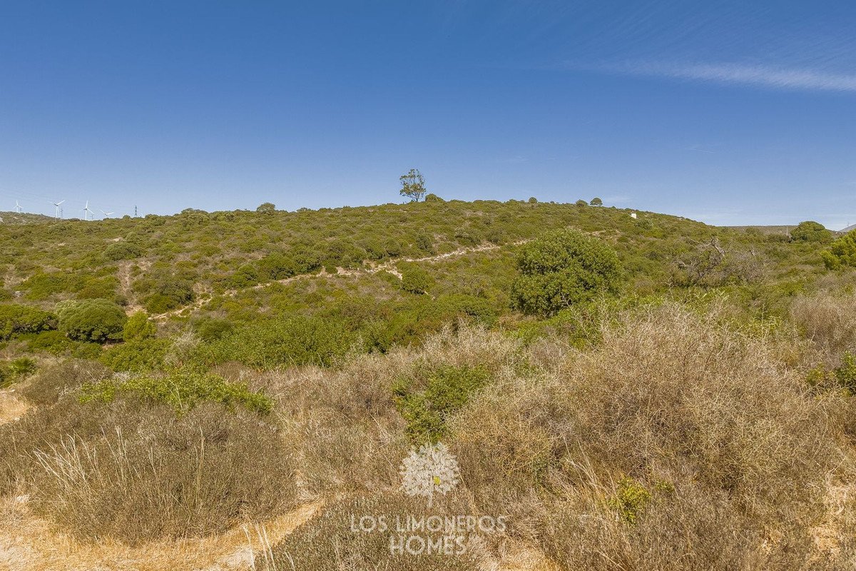 Land in Casares