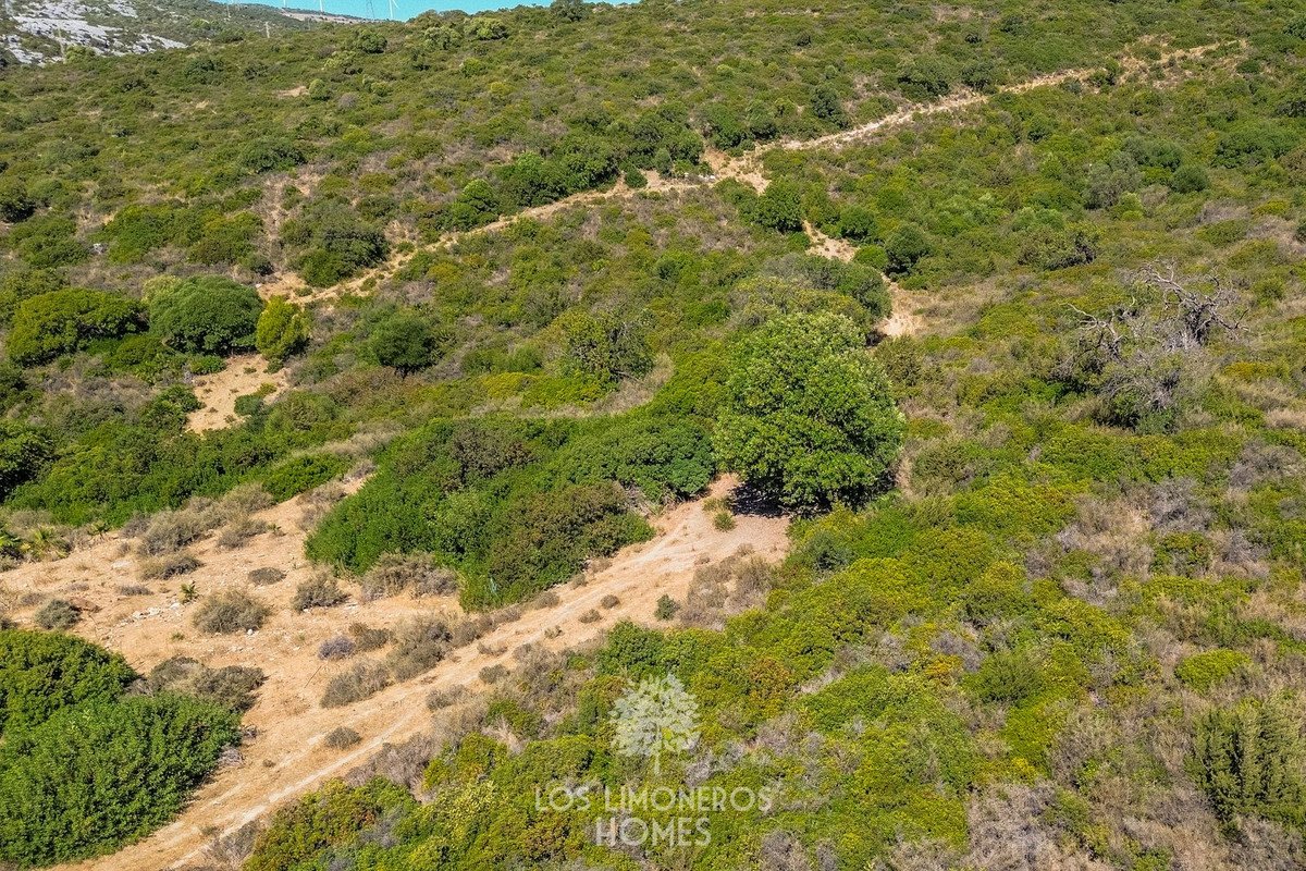 Land in Casares