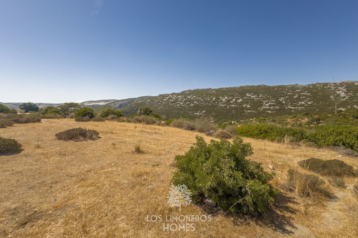 Land in Casares