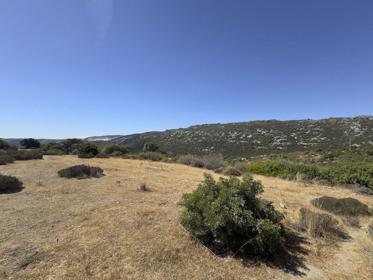 Land in Casares