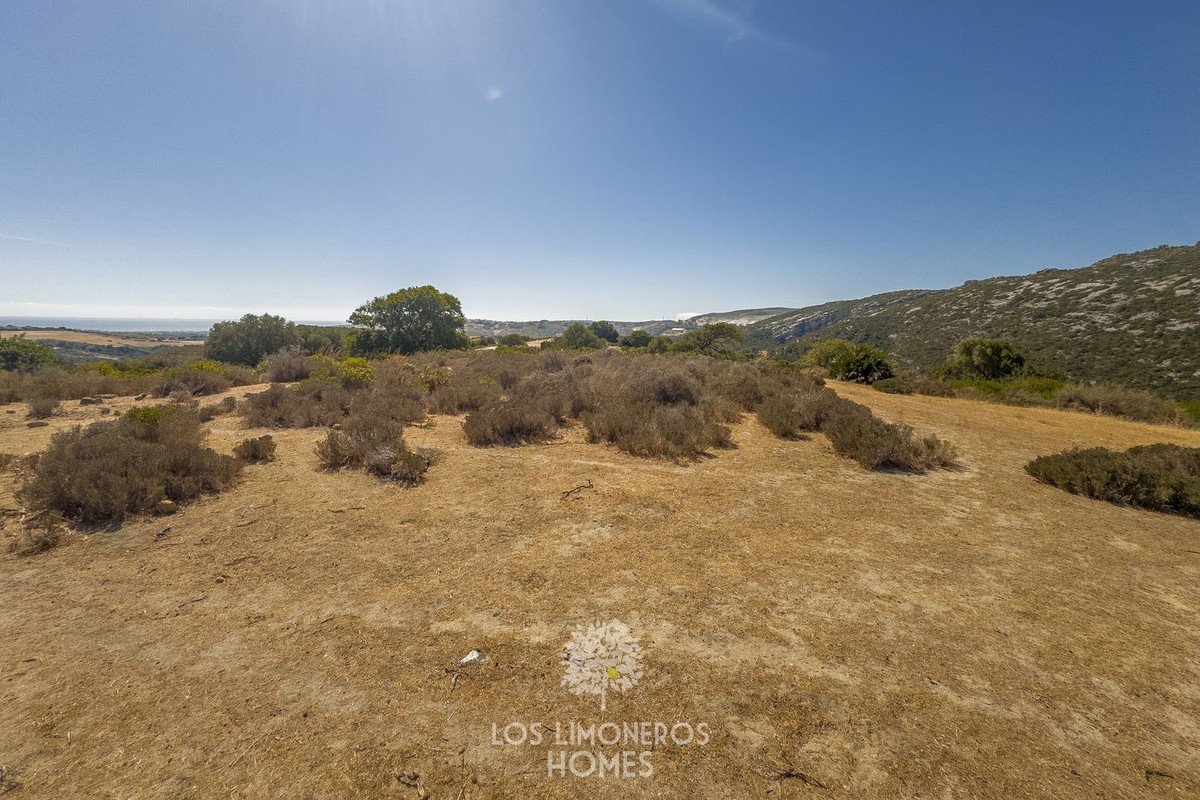 Land in Casares