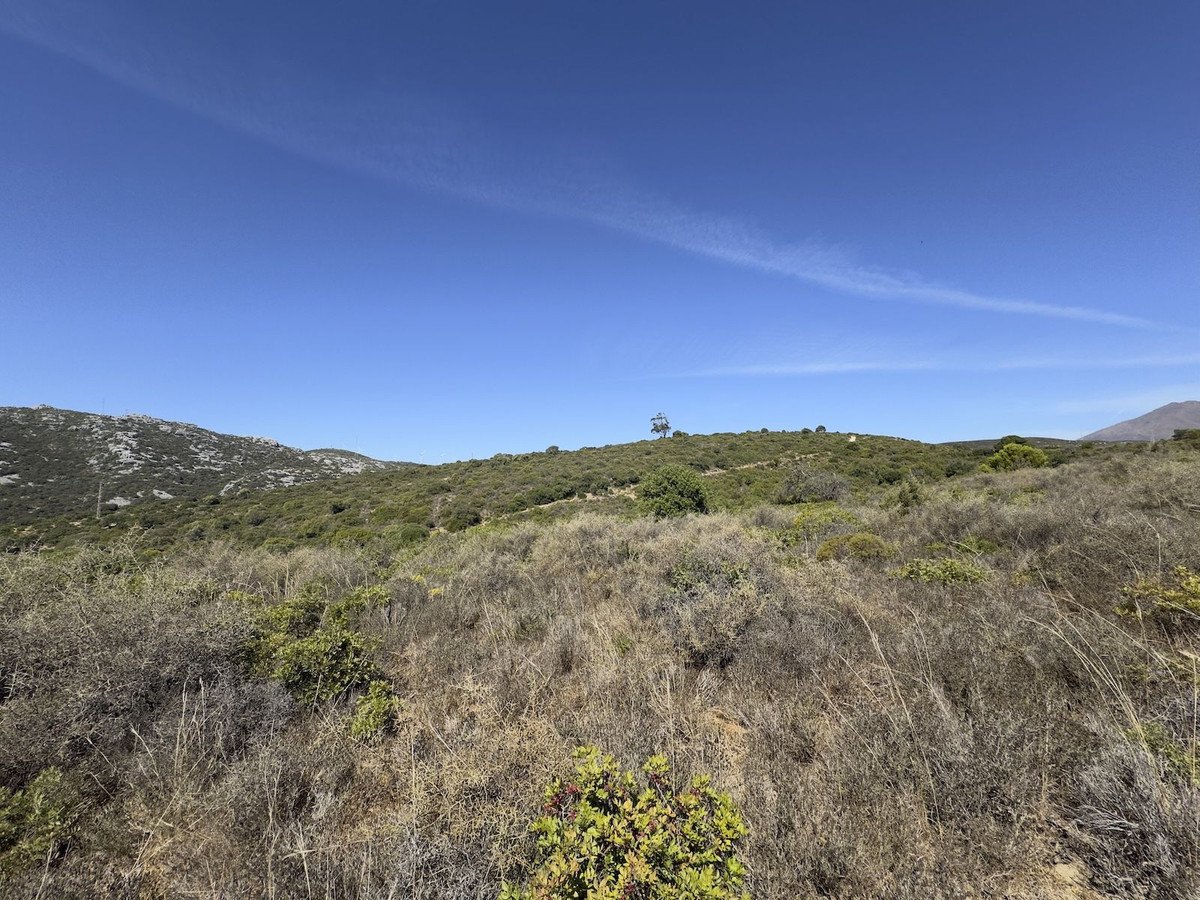Land in Casares
