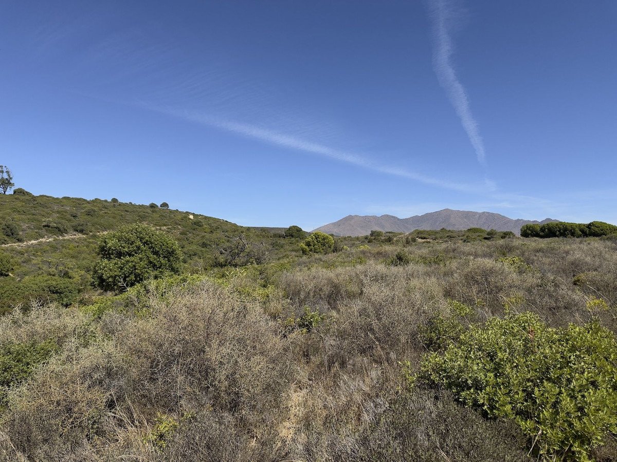 Land in Casares