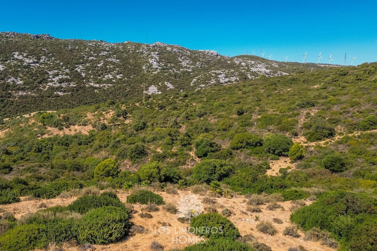 Land in Casares