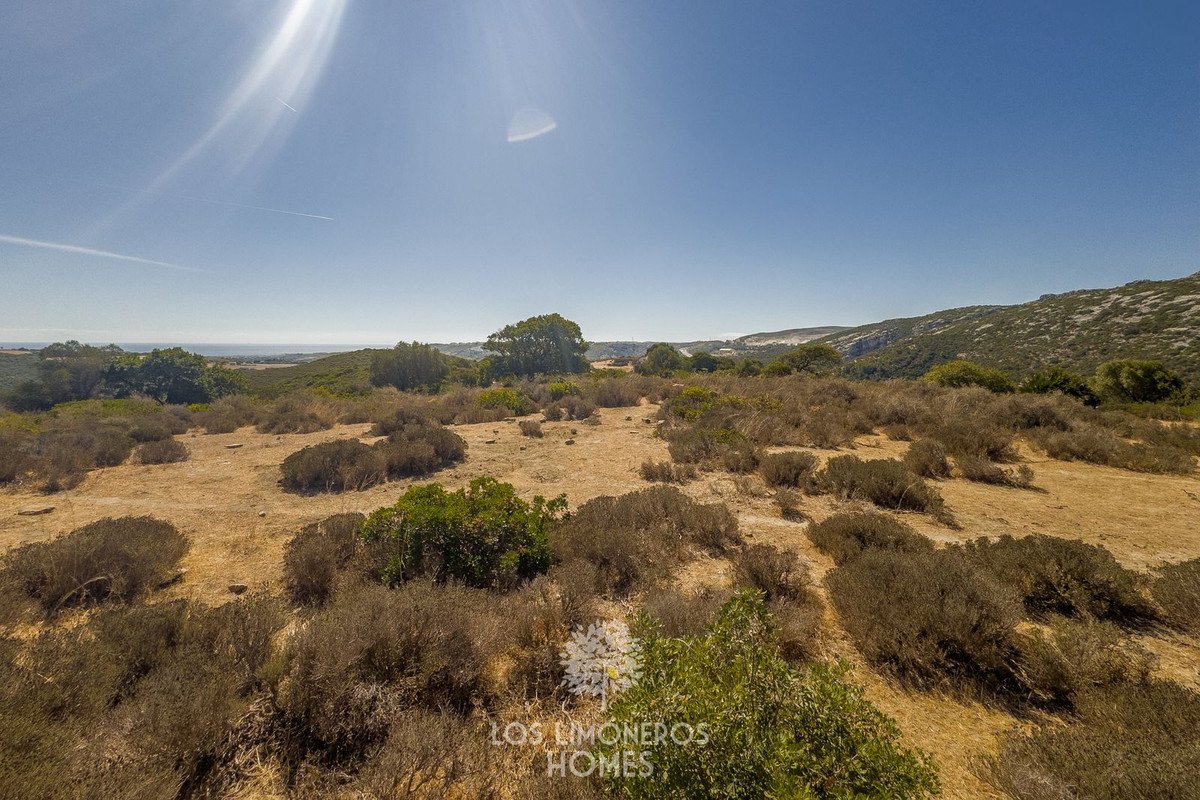 Land in Casares