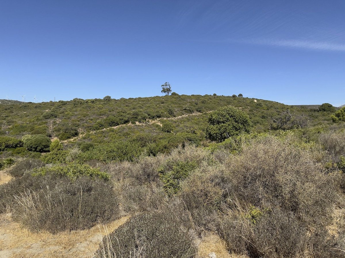 Land in Casares