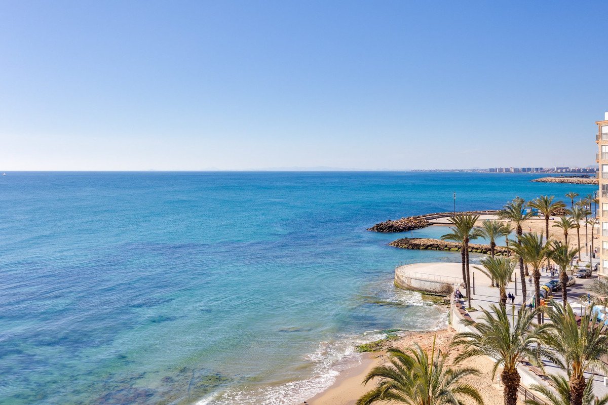 2 Bed Ground Floor Apartment in Torrevieja