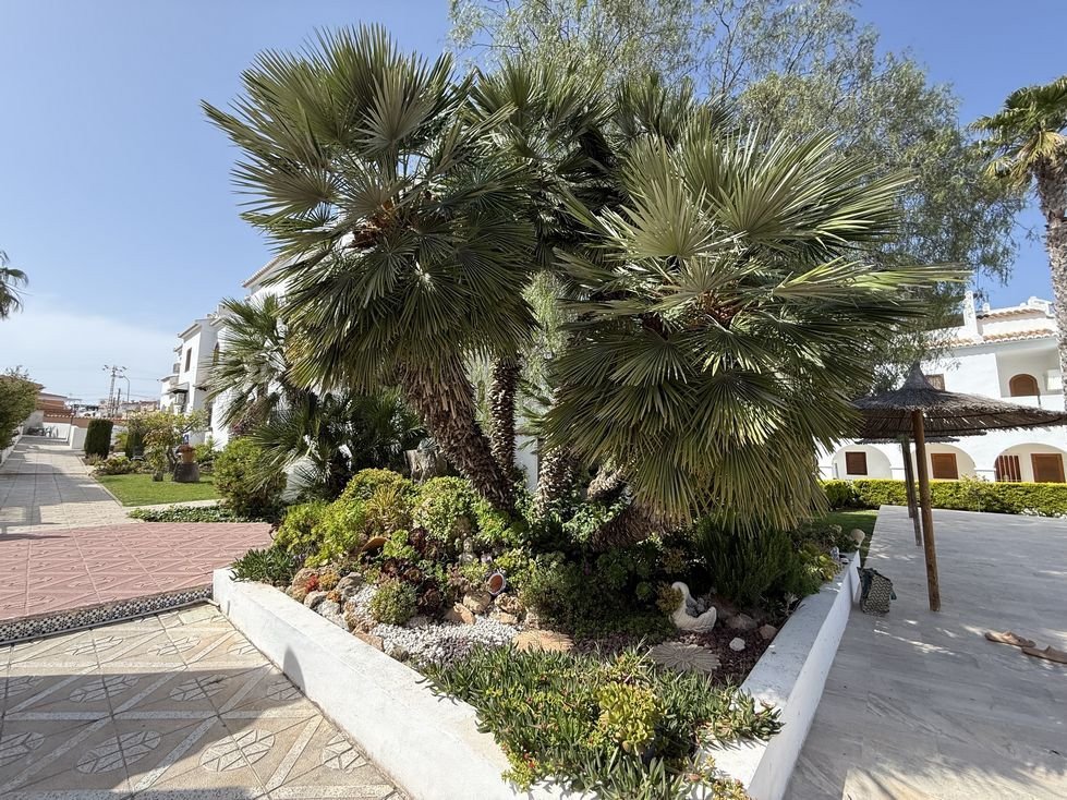3 Bed Townhouse in Ciudad Quesada