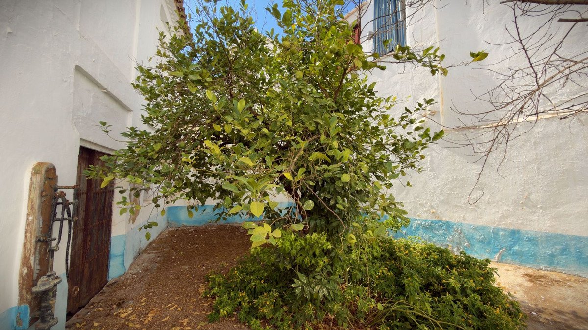 4 Bed Townhouse in Alameda