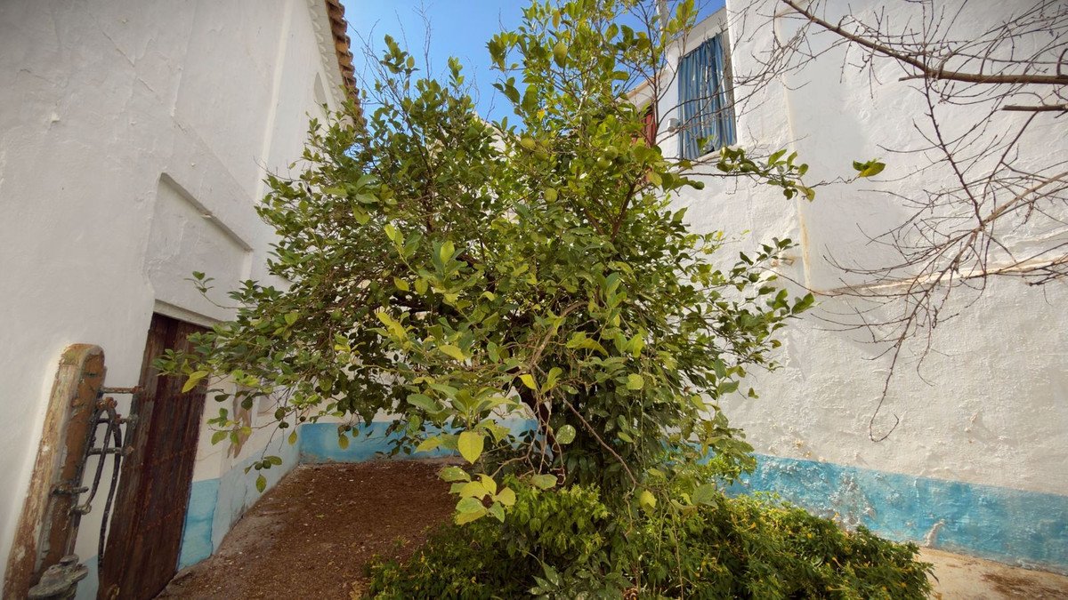4 Bed Townhouse in Alameda