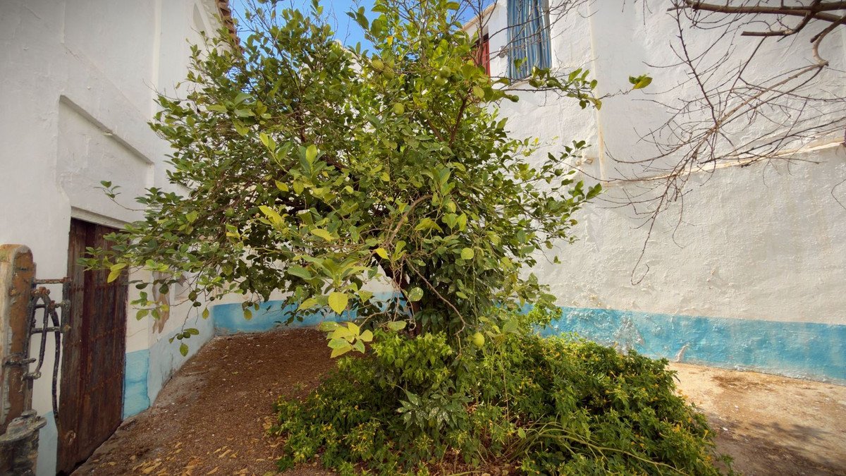 4 Bed Townhouse in Alameda