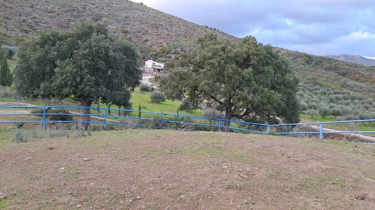 8 Bed Commercial in Campo Mijas