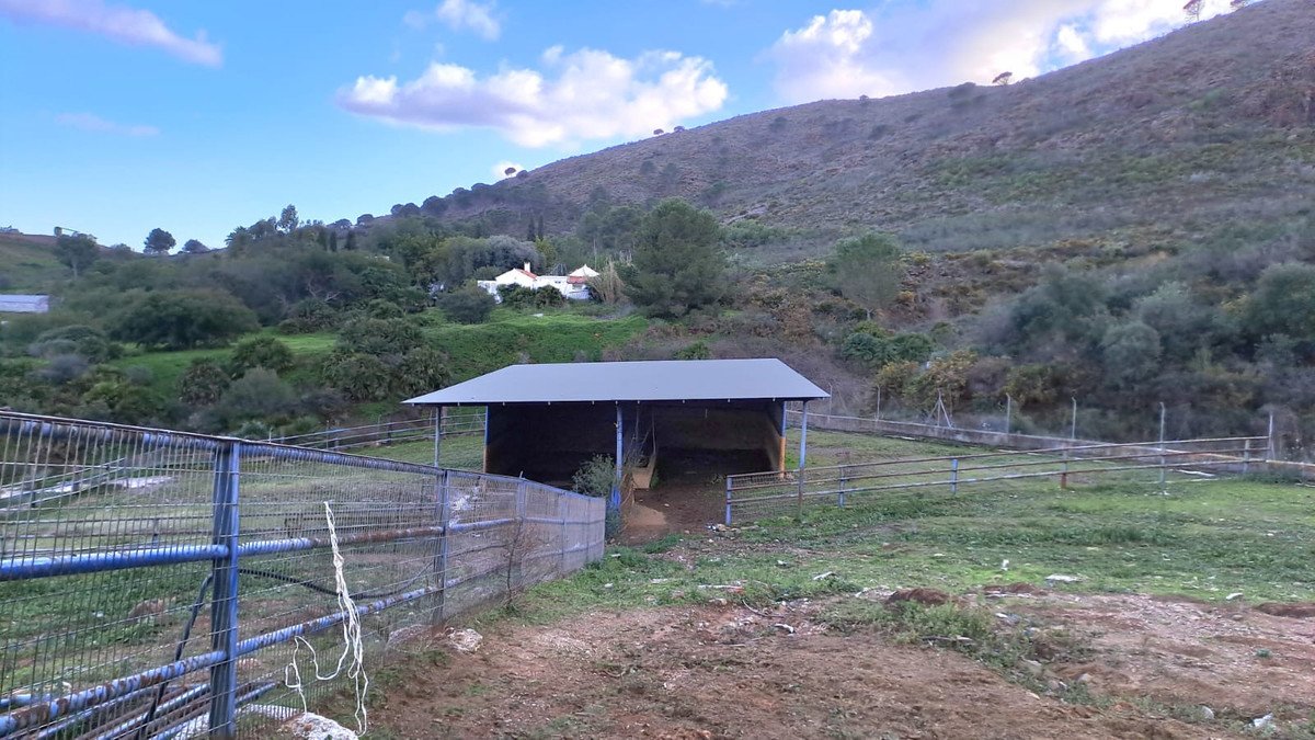 8 Bed Commercial in Campo Mijas