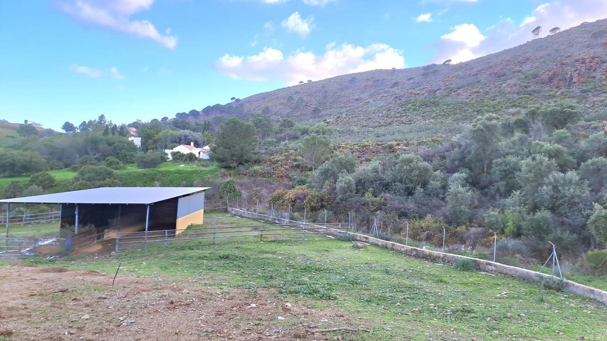 8 Bed Commercial in Campo Mijas