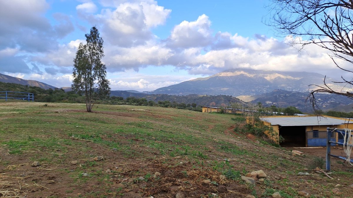 8 Bed Commercial in Campo Mijas