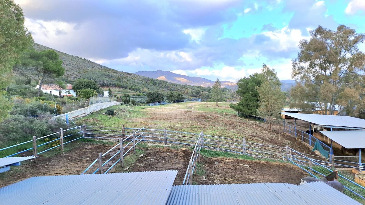 8 Bed Commercial in Campo Mijas