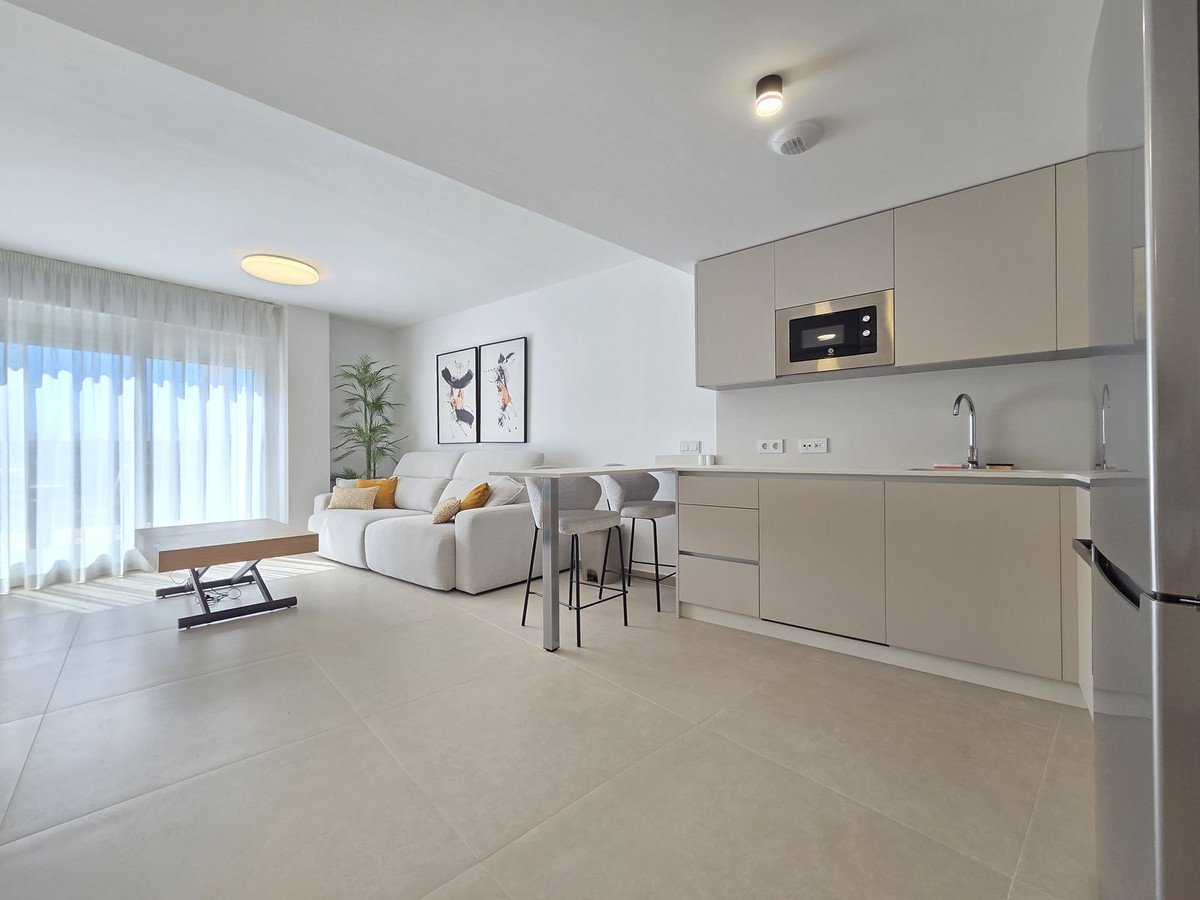 2 Bed Penthouse in Manilva