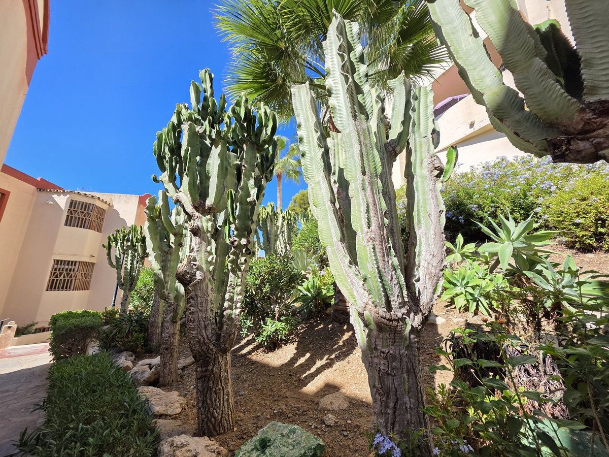 2 Bed Middle Floor Apartment in Riviera del Sol