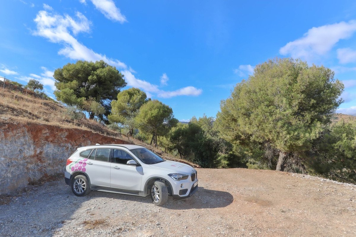 Land in Guaro