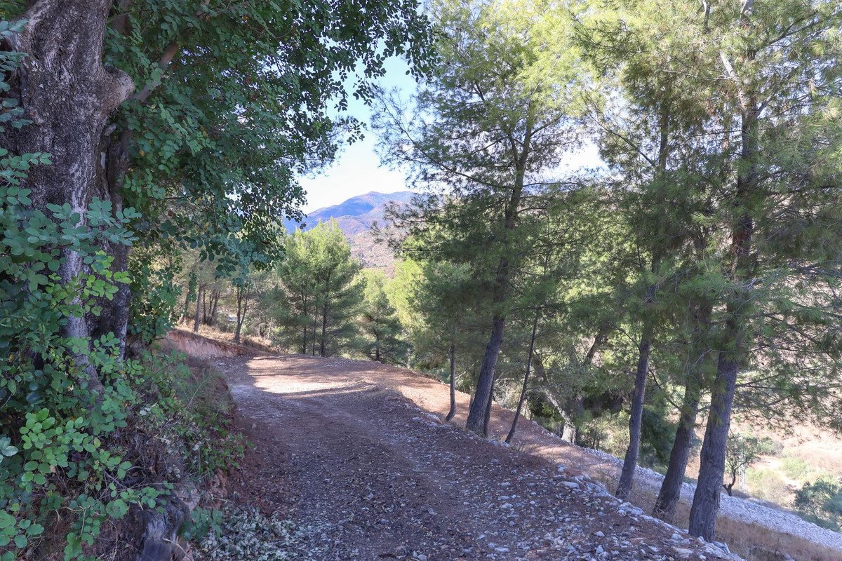 Land in Guaro