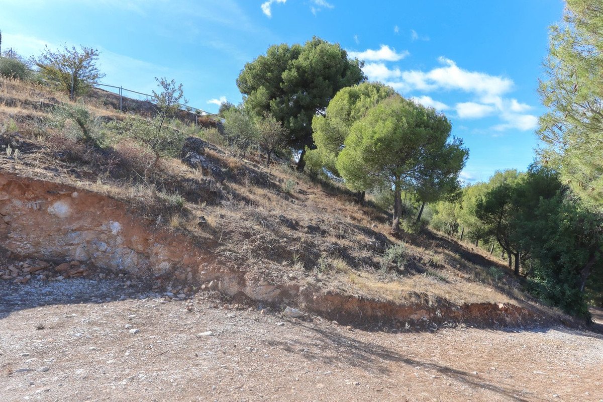 Land in Guaro