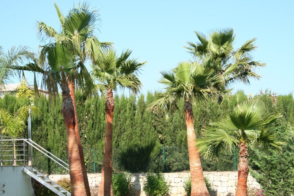 5 Bed Detached Villa in Javea