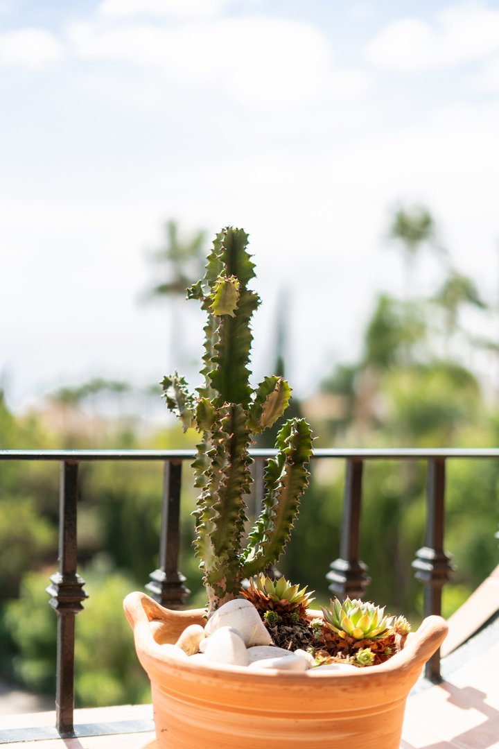 2 Bed Penthouse in El Paraiso