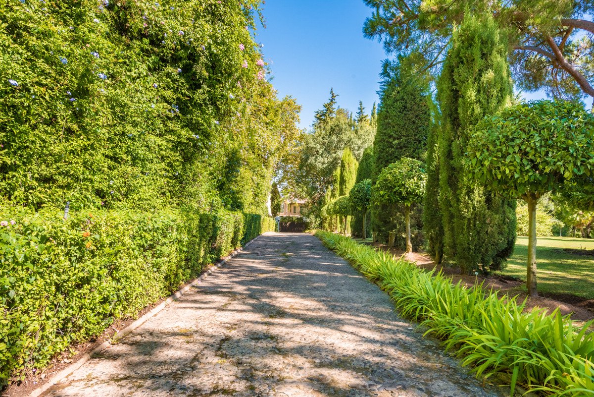 5 Bed Detached Villa in Sotogrande Alto