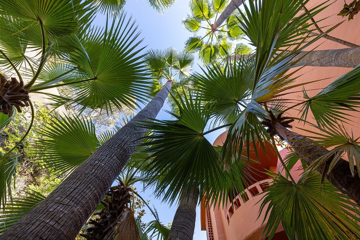 2 Bed Penthouse in Benahavís
