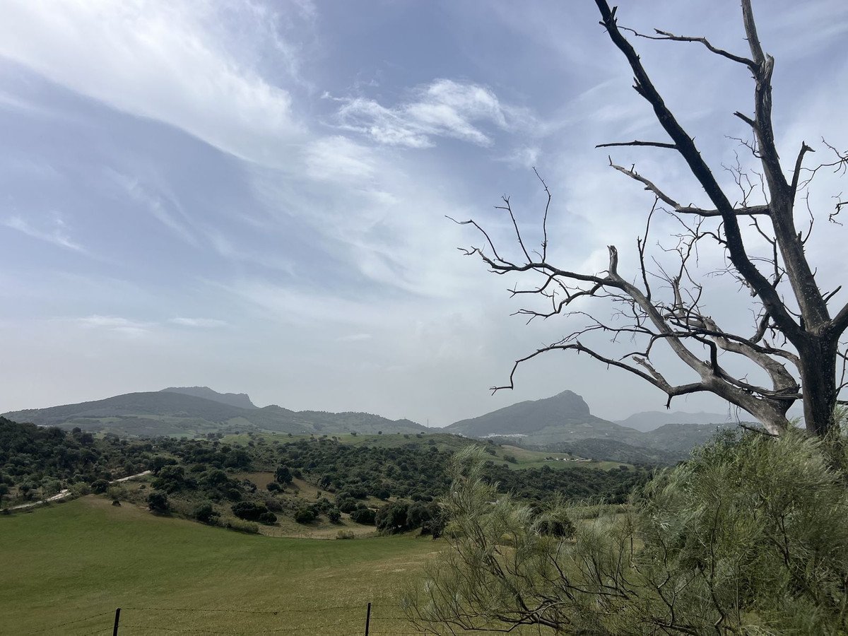 Land in Olvera