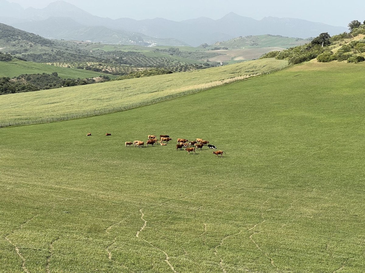 Land in Olvera