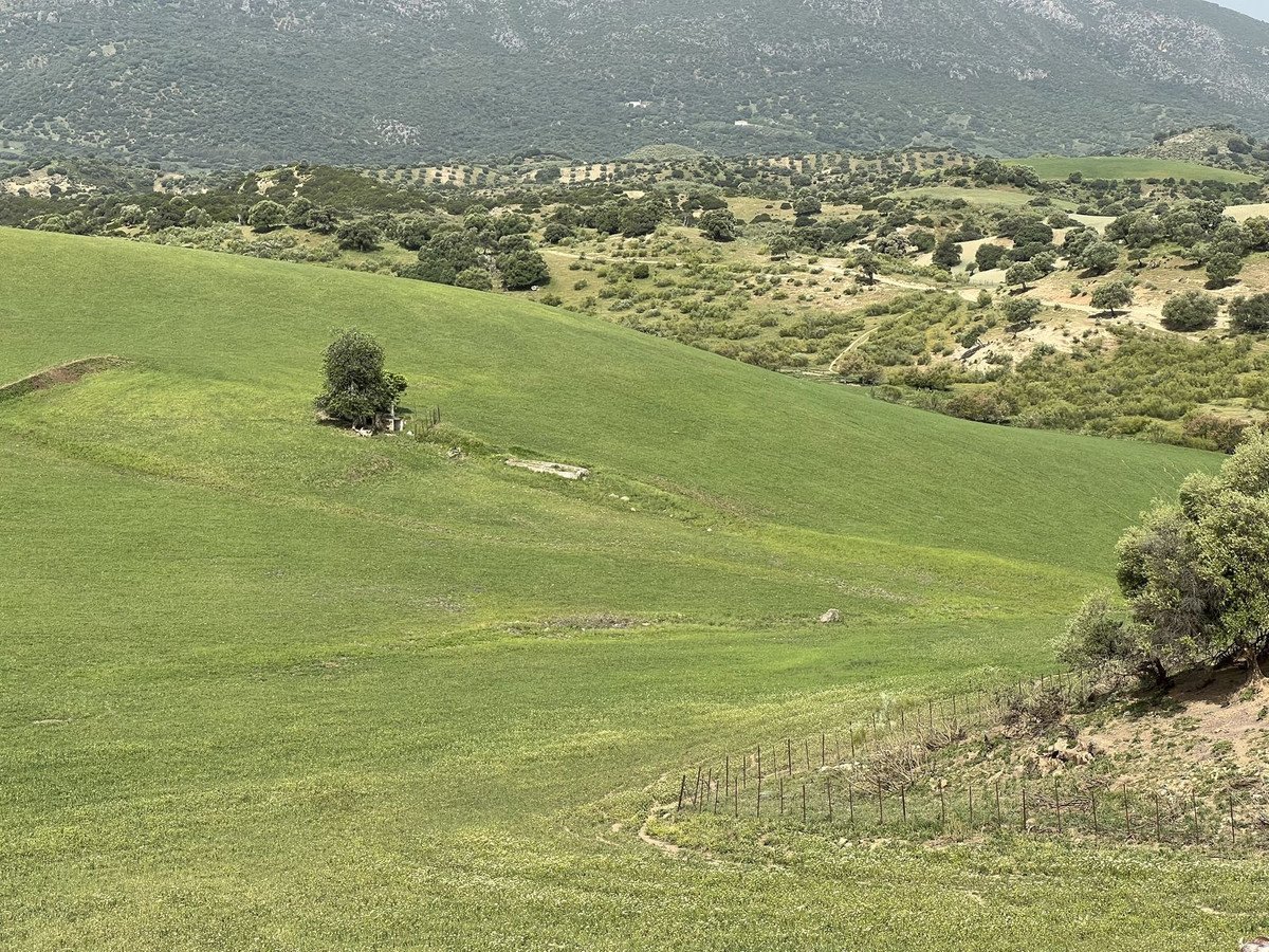 Land in Olvera