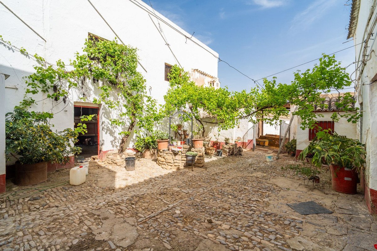 Land in Olvera