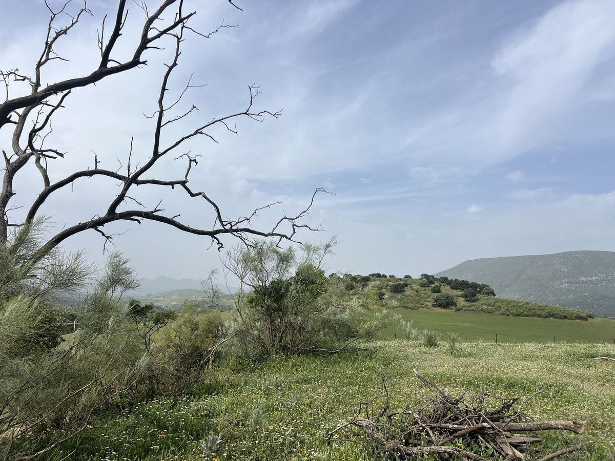 Land in Olvera