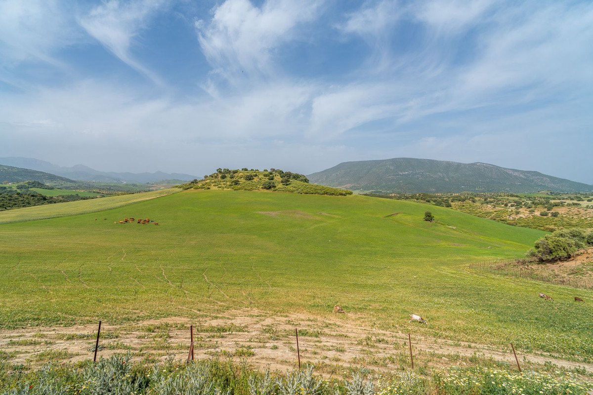 Land in Olvera